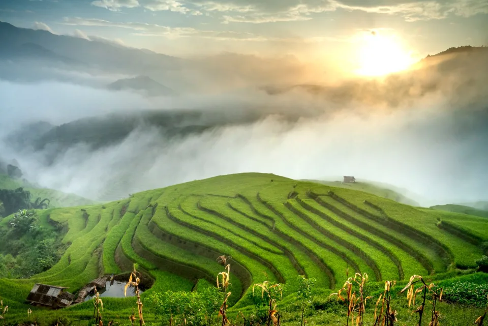 Kho gạo của Đoàn Thị Thương